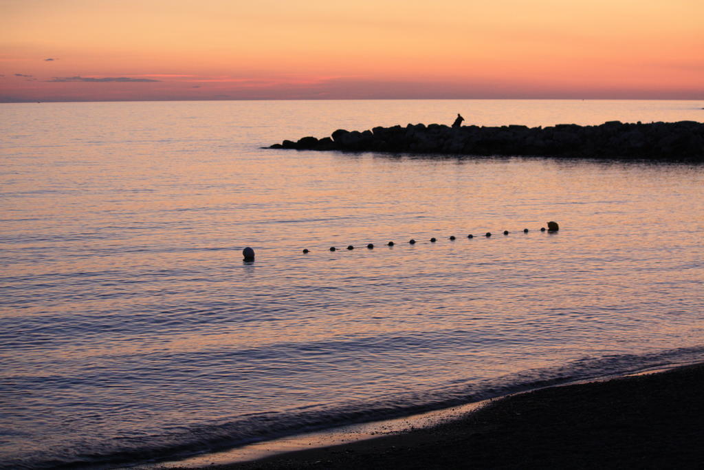 Lungomare Hotel Marina di Cecina Exteriör bild